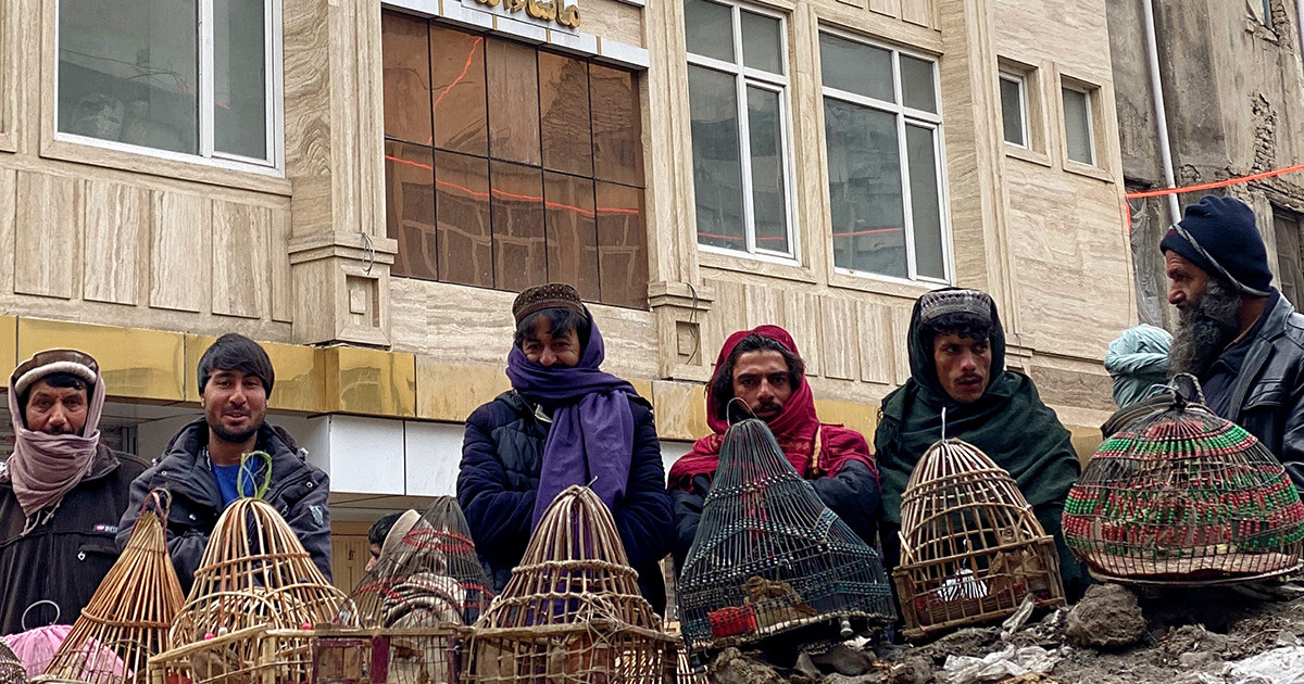 Birds Street Marché du Film